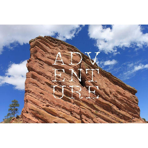 Adventure Gold Ornate Wood Framed Art Print with Double Matting by Metz, Andi