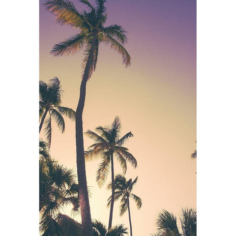 Evening Palms Gold Ornate Wood Framed Art Print with Double Matting by Navas, Emily