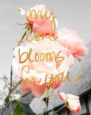 Love Blooms I White Modern Wood Framed Art Print with Double Matting by Navas, Emily