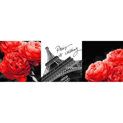 Eiffel Tower Red Roses Black Modern Wood Framed Art Print with Double Matting by Navas, Emily