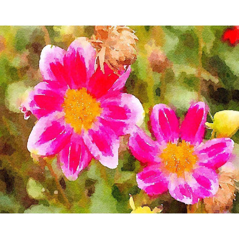 Last Spring I Black Modern Wood Framed Art Print with Double Matting by Navas, Emily