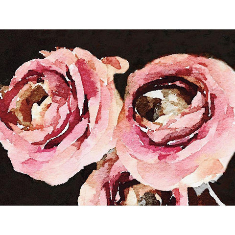 Dark Roses White Modern Wood Framed Art Print by Navas, Emily