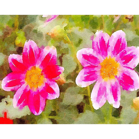 Last Spring II Black Modern Wood Framed Art Print with Double Matting by Navas, Emily