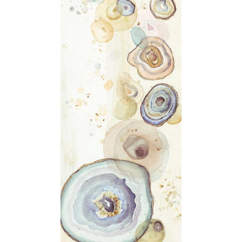 Tall Agates Flying Watercolor Gold Ornate Wood Framed Art Print with Double Matting by Pinto, Patricia