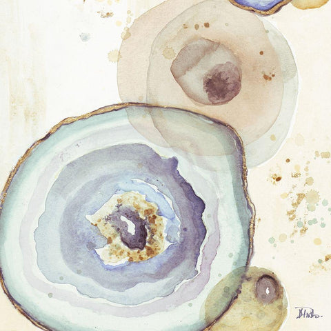 Agates Flying Square I Black Modern Wood Framed Art Print by Pinto, Patricia