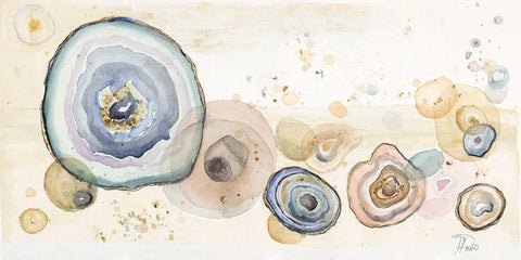 Agates Flying Watercolor Black Ornate Wood Framed Art Print with Double Matting by Pinto, Patricia