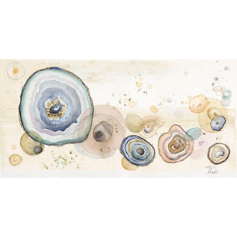 Agates Flying Watercolor Black Modern Wood Framed Art Print with Double Matting by Pinto, Patricia
