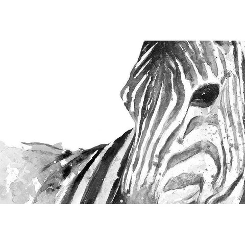 Zebra Gaze White Modern Wood Framed Art Print by Pinto, Patricia