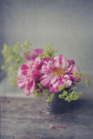 Summer Blooms White Modern Wood Framed Art Print with Double Matting by Gardner, Sarah