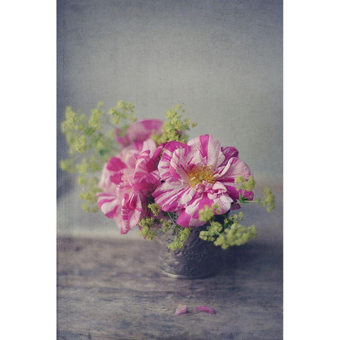 Summer Blooms Black Modern Wood Framed Art Print by Gardner, Sarah