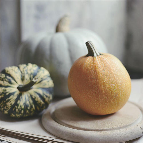 Time For Fall White Modern Wood Framed Art Print by Gardner, Sarah