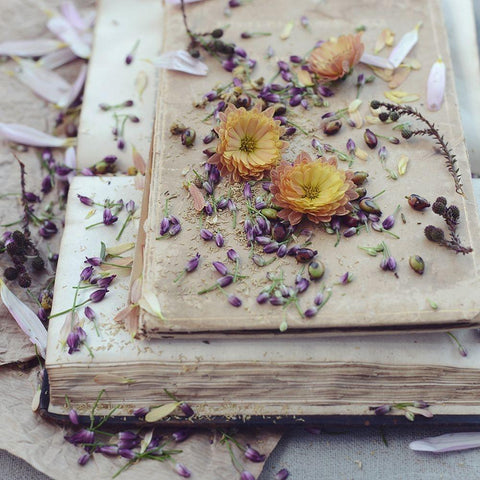 Fall Into The Text Gold Ornate Wood Framed Art Print with Double Matting by Gardner, Sarah