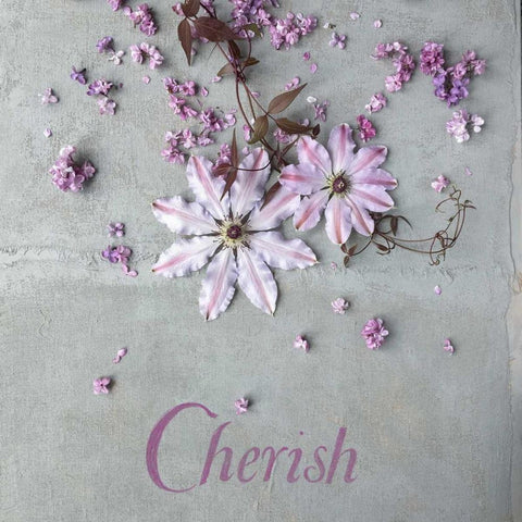 Cherish White Modern Wood Framed Art Print with Double Matting by Gardner, Sarah