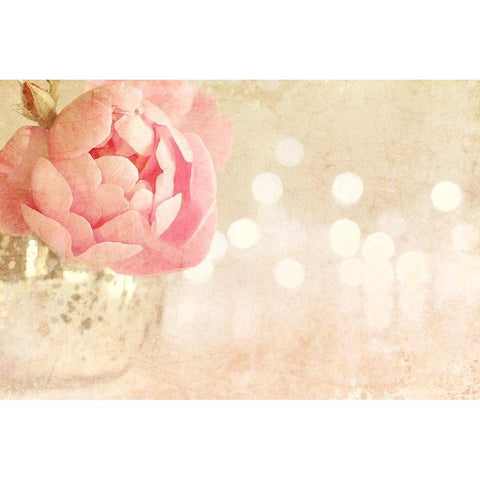 Spotlight Blooms Gold Ornate Wood Framed Art Print with Double Matting by Gardner, Sarah