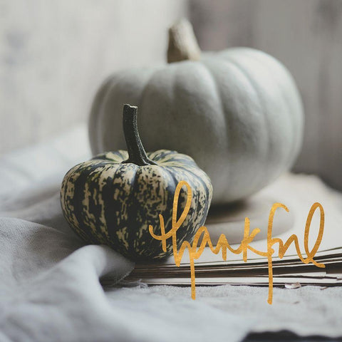 Thankful Black Modern Wood Framed Art Print by Gardner, Sarah