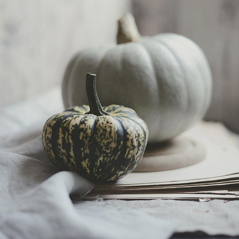 Fall Bunches White Modern Wood Framed Art Print with Double Matting by Gardner, Sarah