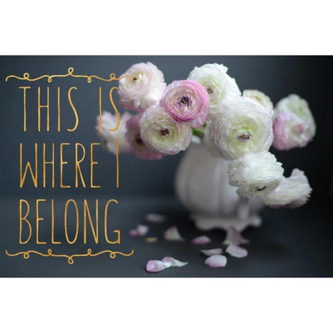 I Belong Black Modern Wood Framed Art Print with Double Matting by Gardner, Sarah