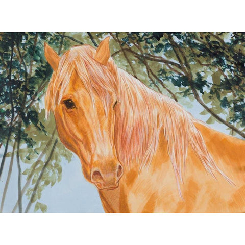 Champions I Black Modern Wood Framed Art Print with Double Matting by Baliko, Linda