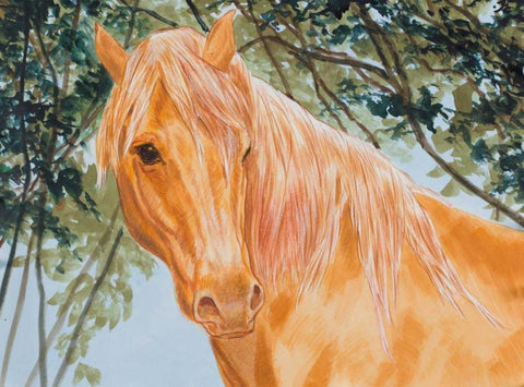 Champions I White Modern Wood Framed Art Print with Double Matting by Baliko, Linda