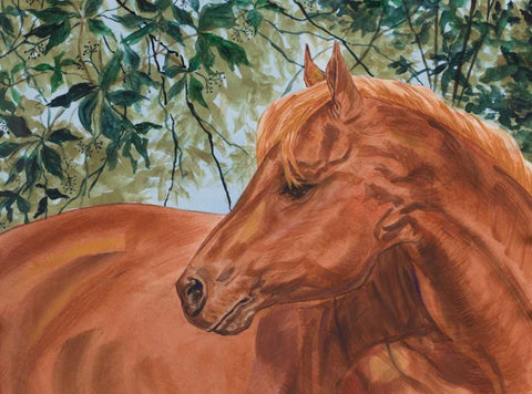 Champions II White Modern Wood Framed Art Print with Double Matting by Baliko, Linda