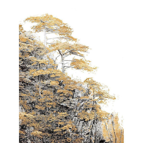 Immortal Pine Black Modern Wood Framed Art Print with Double Matting by Lake, Shelley