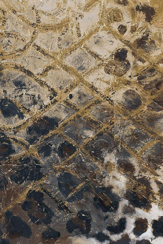 Safari Skin White Modern Wood Framed Art Print with Double Matting by Pinto, Patricia