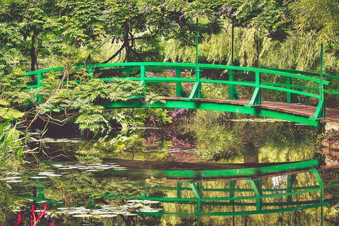 Monets Garden White Modern Wood Framed Art Print with Double Matting by Lake, Shelley