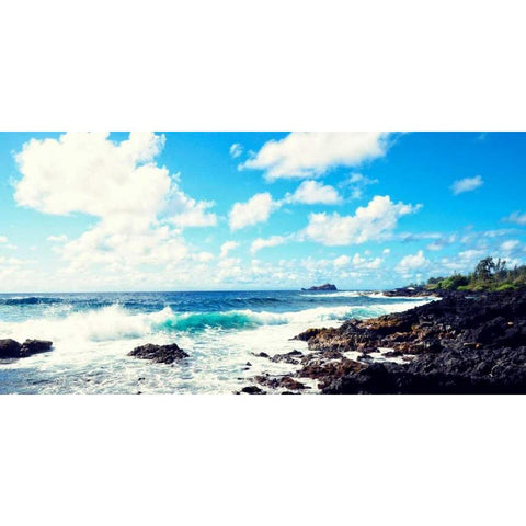 Cool Beach III Black Modern Wood Framed Art Print by Nawrocke, Bruce