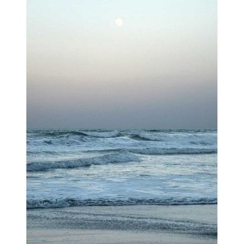 Daytona Gray I White Modern Wood Framed Art Print by Nawrocke, Bruce
