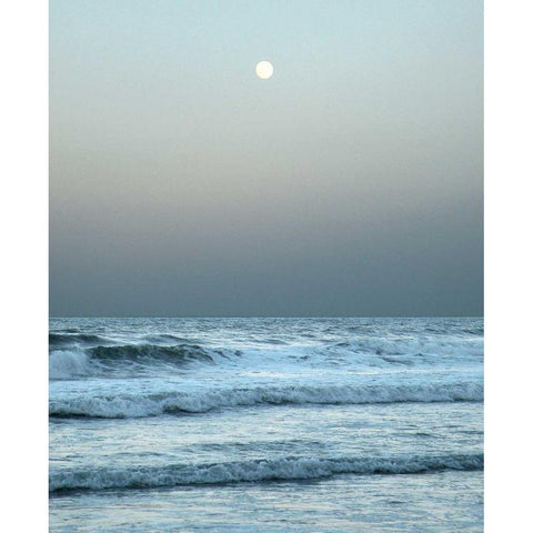 Daytona Gray II Black Modern Wood Framed Art Print by Nawrocke, Bruce