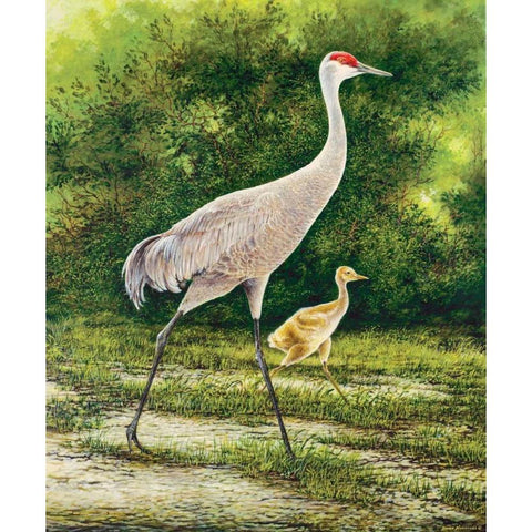Walking From A Distance Gold Ornate Wood Framed Art Print with Double Matting by Nawrocke, Bruce