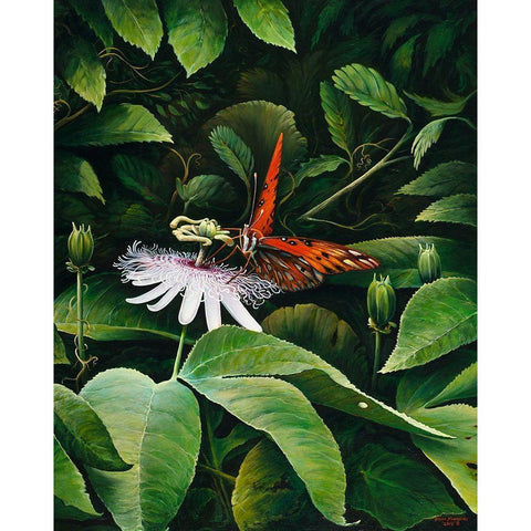 Snacking Butterfly Black Modern Wood Framed Art Print by Nawrocke, Bruce