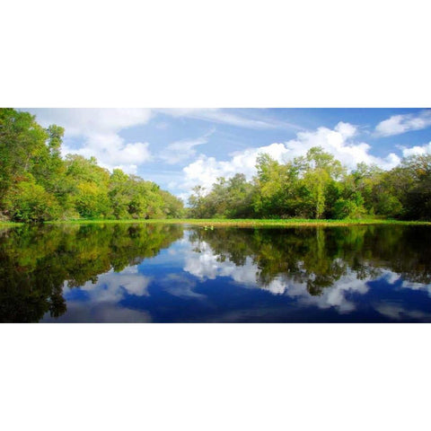 River Flow Black Modern Wood Framed Art Print by Nawrocke, Bruce