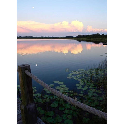Lake Saunders II Black Modern Wood Framed Art Print by Nawrocke, Bruce