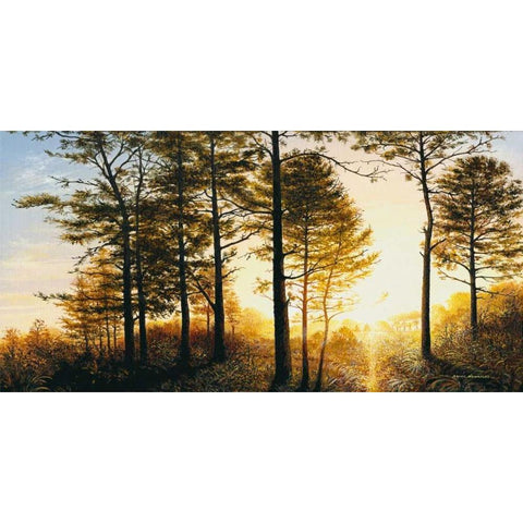 Lifes Engine Black Modern Wood Framed Art Print with Double Matting by Nawrocke, Bruce