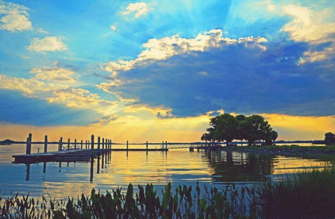 Lake Dora Sunset Black Ornate Wood Framed Art Print with Double Matting by Nawrocke, Bruce