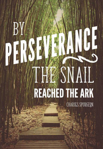 Perseverance Black Ornate Wood Framed Art Print with Double Matting by Nawrocke, Bruce