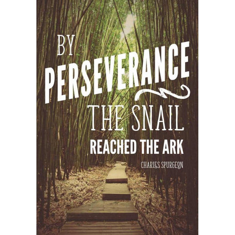 Perseverance Gold Ornate Wood Framed Art Print with Double Matting by Nawrocke, Bruce