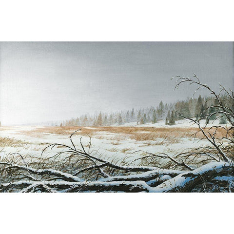 Snowy Morning Black Modern Wood Framed Art Print with Double Matting by Nawrocke, Bruce