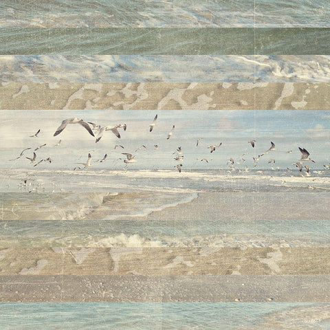 Flying Beach Birds I White Modern Wood Framed Art Print with Double Matting by Meneely, Dan