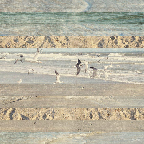 Flying Beach Birds II Black Ornate Wood Framed Art Print with Double Matting by Meneely, Dan