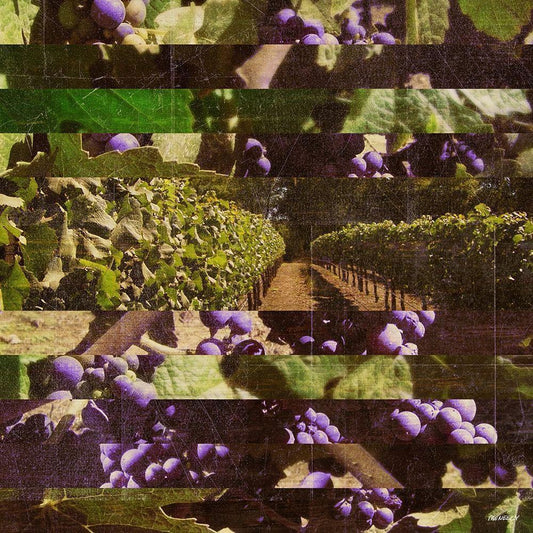 Image Only