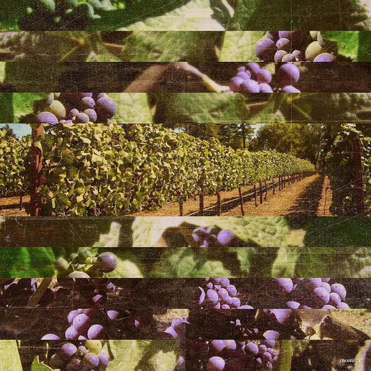 Image Only