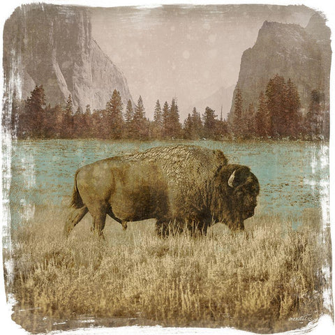 Bison in the Park Black Modern Wood Framed Art Print with Double Matting by Meneely, Dan