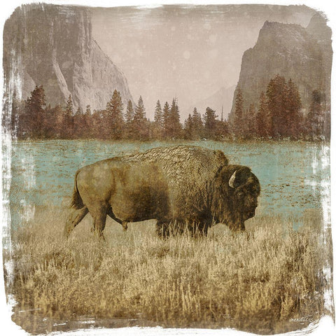 Bison in the Park White Modern Wood Framed Art Print with Double Matting by Meneely, Dan