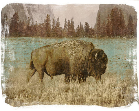 Bison in the Park Black Ornate Wood Framed Art Print with Double Matting by Meneely, Dan