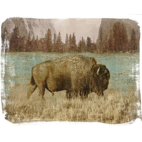 Bison in the Park Black Modern Wood Framed Art Print by Meneely, Dan