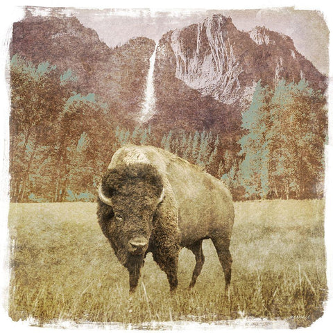 Bison Falls White Modern Wood Framed Art Print with Double Matting by Meneely, Dan