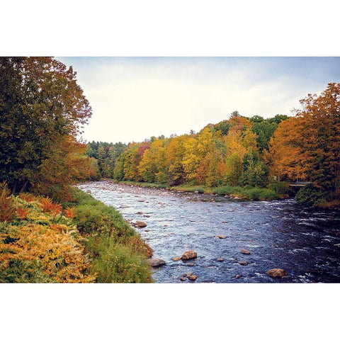 Scenic River Gold Ornate Wood Framed Art Print with Double Matting by Poynter, Kelly