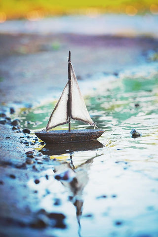 Shores Away Black Ornate Wood Framed Art Print with Double Matting by Poynter, Kelly